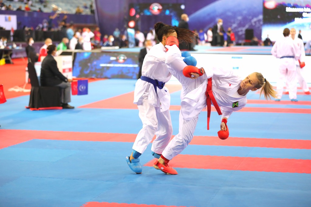 uramawashi kick to the head at the wkf world championships